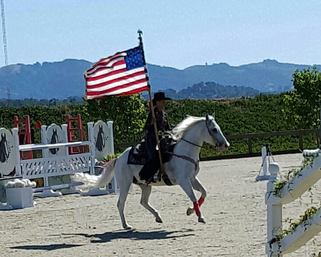 christine shepherd, usa flag, equestrian, horse, drill team