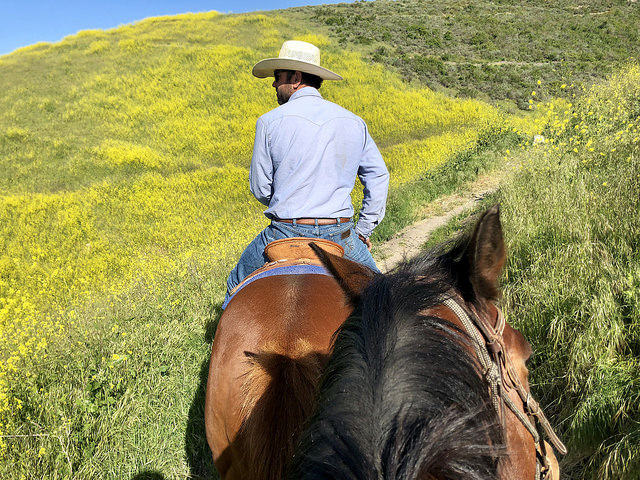 brian hallett, central coast trail rides, pismo preserve, horseback riding, trail ride, pismo beach, california, central coast horse ride, writing horseback