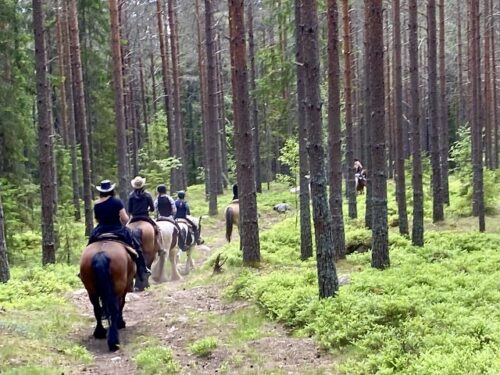 Six horseback riders ride into the forest in single file outside of Gothenburg, Sweden.